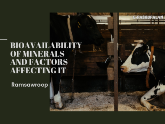 Culling Criteria for Farm Animals – epashupalan