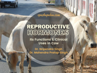 Reproductive Hormones- Its Functions & Clinical Uses in Cow