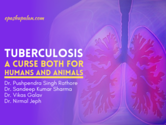 Tuberculosis A Curse both for Humans and Animals