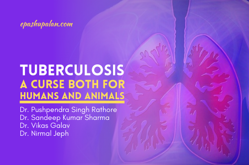 Tuberculosis A Curse both for Humans and Animals