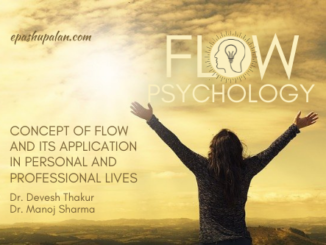 Concept of Flow and its Application in Personal and Professional Lives