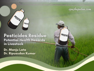 Pesticides Residue Potential Health hazards in Livestock