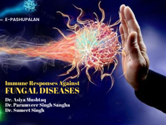 Immune Responses Against Fungal Diseases