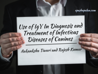 Use of IgY In Diagnosis and Treatment of Infectious Diseases of Canine